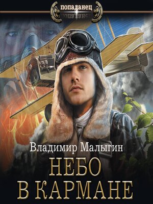 cover image of Небо в кармане